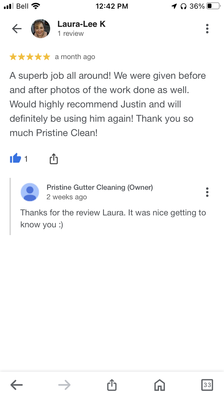 Pristine Clean photo 1